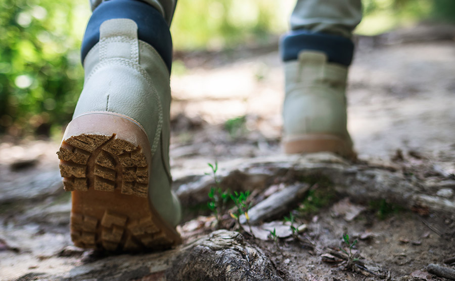 Hiking the Parnassos